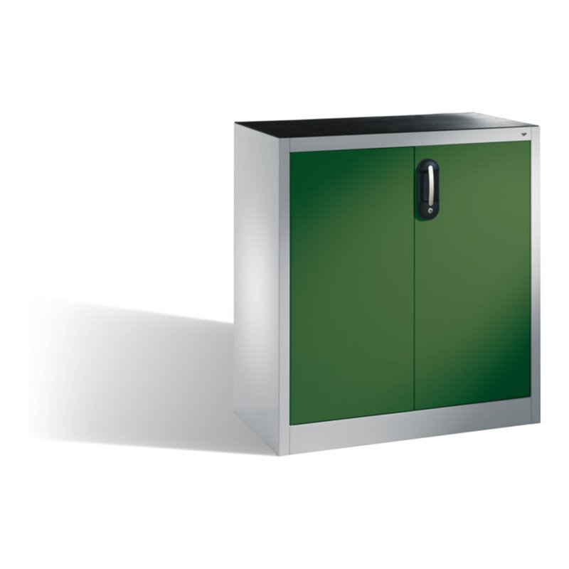 C+P Werkzeug-Beistellschrank mit Drehtüren, innen 1 Boden, H1000xB930xT400mm Front Resedagrün Korpus Lichtgrau