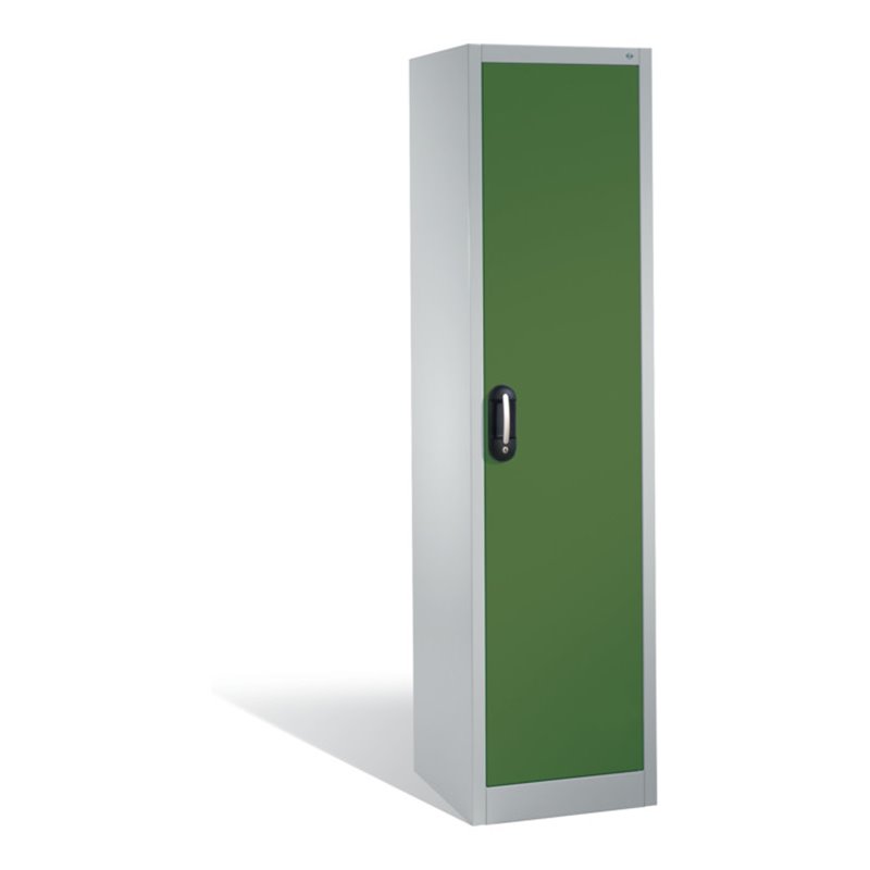 C+P Werkzeugschrank mit Drehtür, innen 4 Böden, H1950xB500xT500mm Front Resedagrün Korpus Lichtgrau