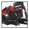 Einhell Benzin-Kettensäge GC-PC 2040 I