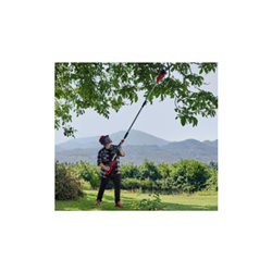 Einhell Akku-Hochentaster GC-LC 18/20 Li T-Solo