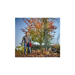 Einhell Professional Akku-Laubbläser GE-LB 36/210 Li E-Solo