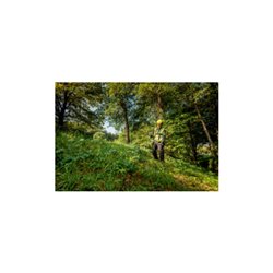 Metabo Akku-Freischneider FSB 36-18 LTX BL 40 mit Zweihandgriff Karton