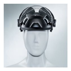 Uvex Visier pheos faceguard, farblosos, UV400 Polycarbonat Visier m. Gehörschutz