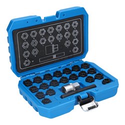 Brilliant Tools Felgenschloss-Sortiment für Audi, 22-tlg