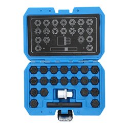 Brilliant Tools Felgenschloss-Sortiment für Audi, 22-tlg