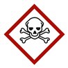 Gefahrstoffsymbol Totenkopf mit gekreuzten Knochen, Typ: 04105