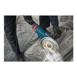 Bosch Winkelschleifer GWS 24-230 PZ