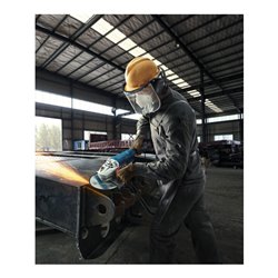 Bosch Winkelschleifer GWS 24-230 P