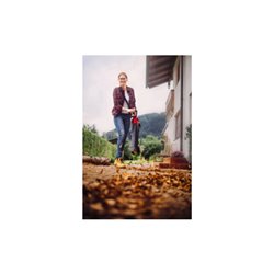 Einhell Akku-Laubsauger GE-CL 36 Li E-Solo