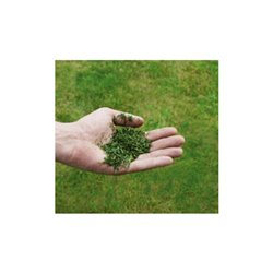 Einhell Benzin-Rasenmäher GC-PM 51/3 S HW-E