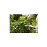 GARDENA Heckenschere NatureCut