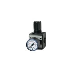 RIEGLER Druckregler multifix inklusive Manometer NBR