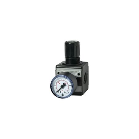 RIEGLER Druckregler multifix inklusive Manometer NBR