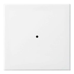 Busch-Jaeger Wandsender alpinweiß 6731-914