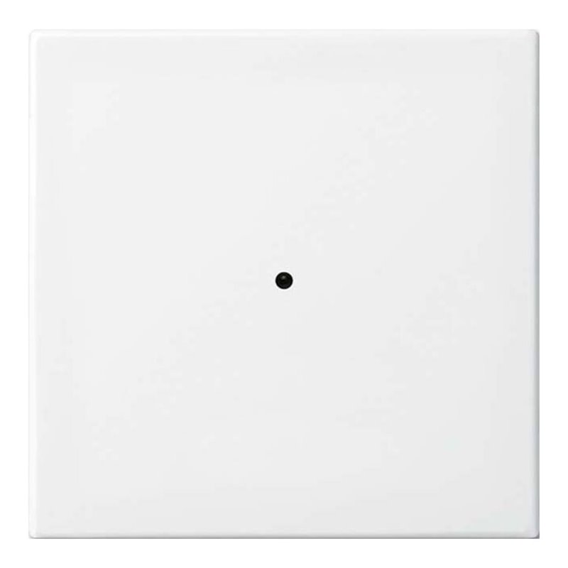 Busch-Jaeger Wandsender alpinweiß 6731-914