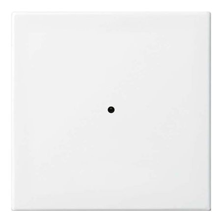 Busch-Jaeger Wandsender alpinweiß 6731-914