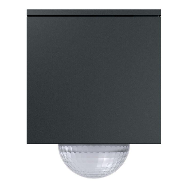 Gira Wächter anthrazit 244410