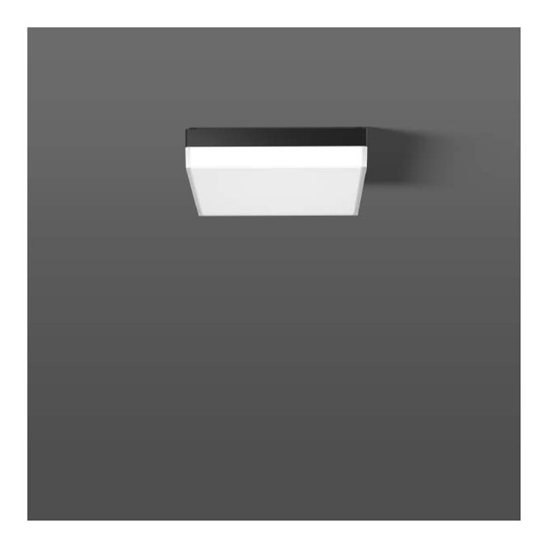 RZB LED-Wand-/Deckenleuchte 830/840 312537.0031