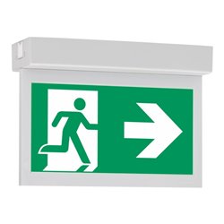 Ceag Notlichtsysteme LED-Einzelbatterie-Leuchte m.autom. Funkt.test 10821 1-8/D CGLine+