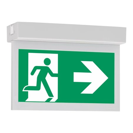 Ceag Notlichtsysteme LED-Einzelbatterie-Leuchte m.autom. Funkt.test 10821 1-8/D CGLine+