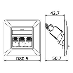BTR NETCOM Anschlussdose C6Amodul UP 3Port 180 UP,rws TN C6Amod-3UP-180rw