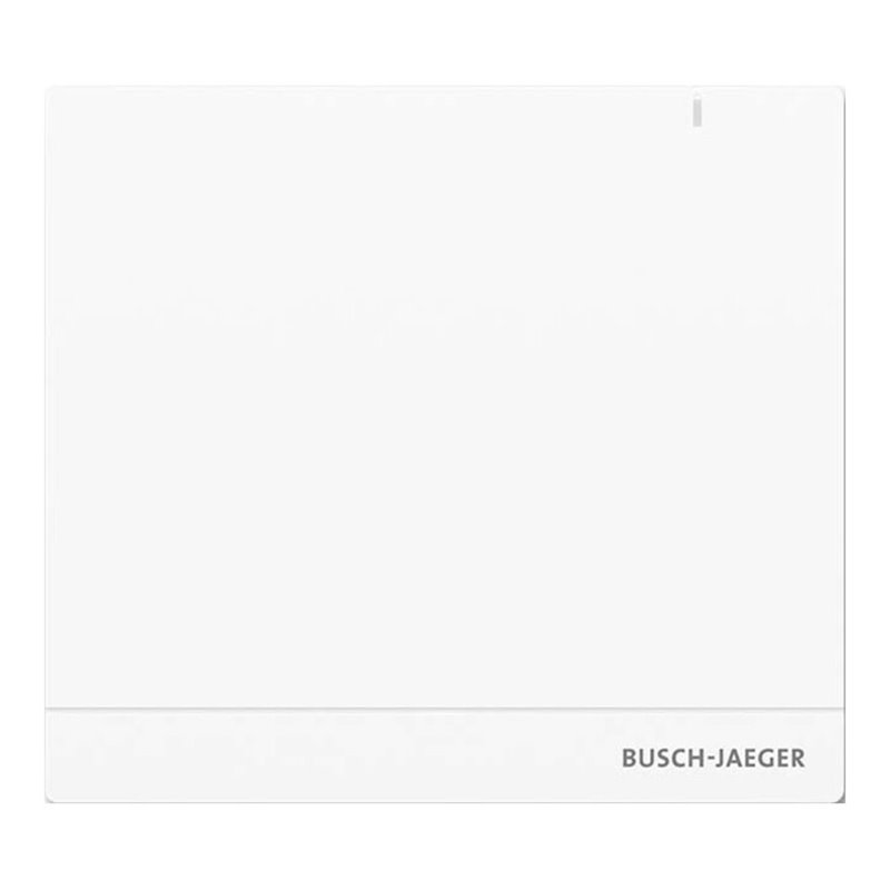 Busch-Jaeger System Access Point 2.0 Wireless SAP/S.13