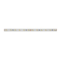 Brumberg Leuchten LED-Flexband 5000mm 24V 4100K IP67 15271004