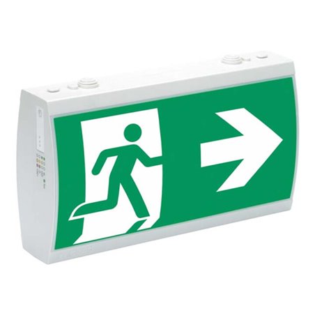 Ceag Notlichtsysteme LED-Rettungszeichenleuchte RAL7035 IP41 SV EURO 2-1/D LED