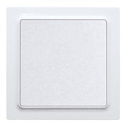 Eltako Funktaster reinweiß glänzend F2T55E-wg