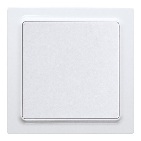 Eltako Funktaster reinweiß glänzend F2T55E-wg
