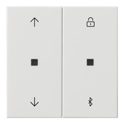 Gira Jalousie- + Schaltuhr Bluetooth Sys.55 rws 536703