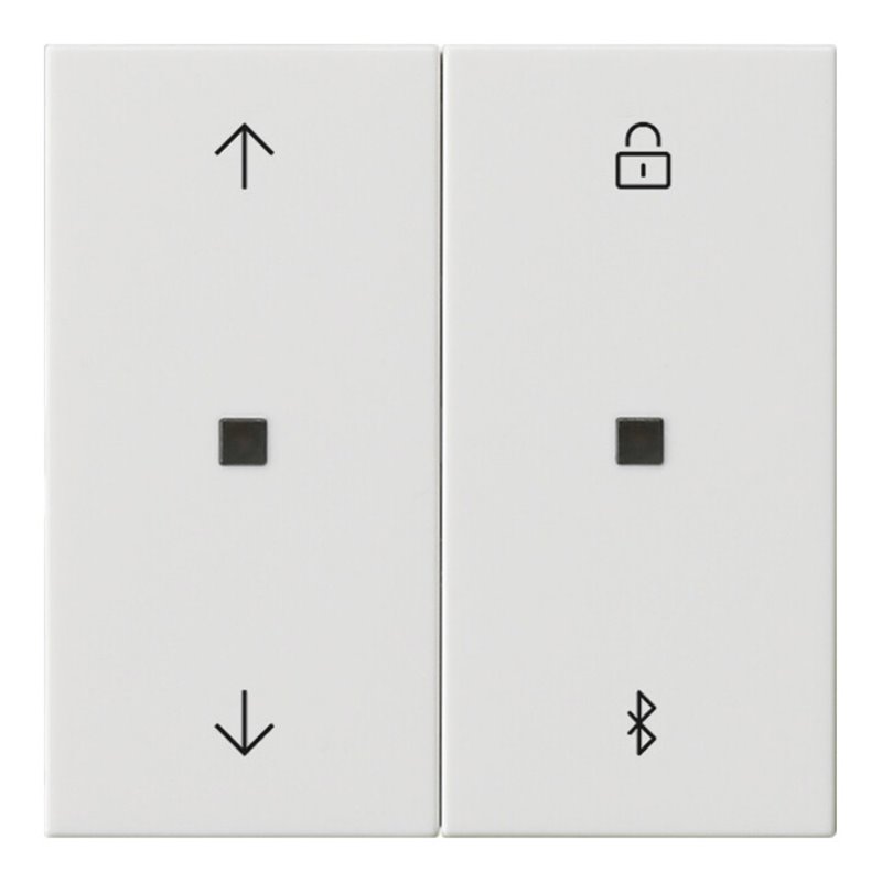 Gira Jalousie- + Schaltuhr Bluetooth Sys.55 rws 536703