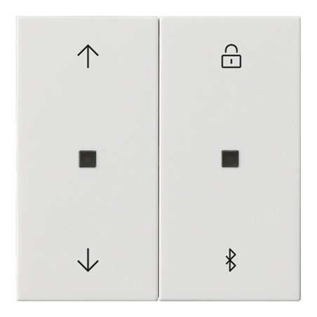 Gira Jalousie- + Schaltuhr Bluetooth Sys.55 rws 536703