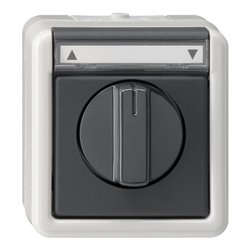 Gira Jalousietaster/Schalter grAP-WG 015430