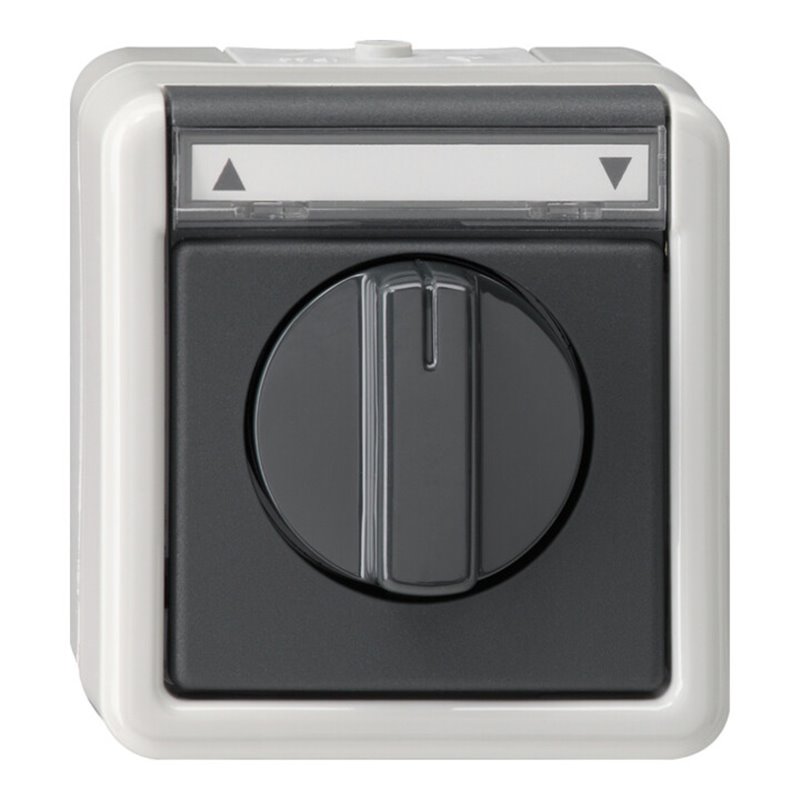 Gira Jalousietaster/Schalter grAP-WG 015430