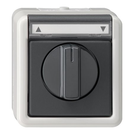 Gira Jalousietaster/Schalter grAP-WG 015430