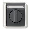Gira Jalousietaster/Schalter grAP-WG 015430