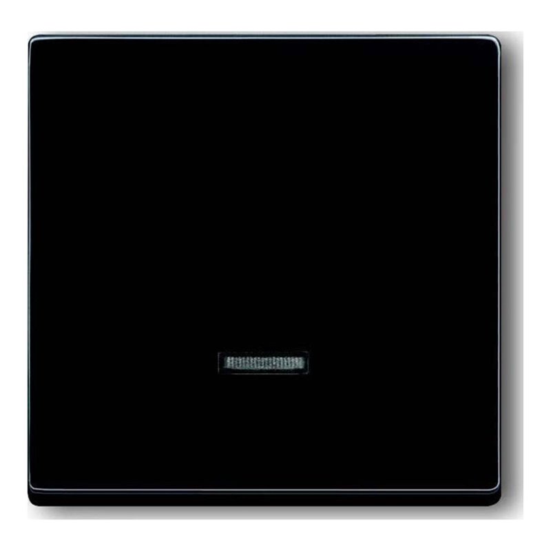 Busch-Jaeger Bedienelement Mem-Tast. 6543-81-101