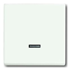 Busch-Jaeger Bedienelement Memory 6543-884-101