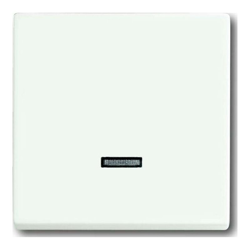 Busch-Jaeger Bedienelement Memory 6543-884-101