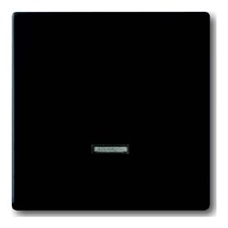 Busch-Jaeger Bedienelement Memory 6543-885-101