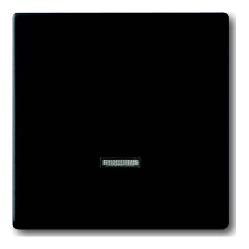 Busch-Jaeger Bedienelement Memory 6543-885-101