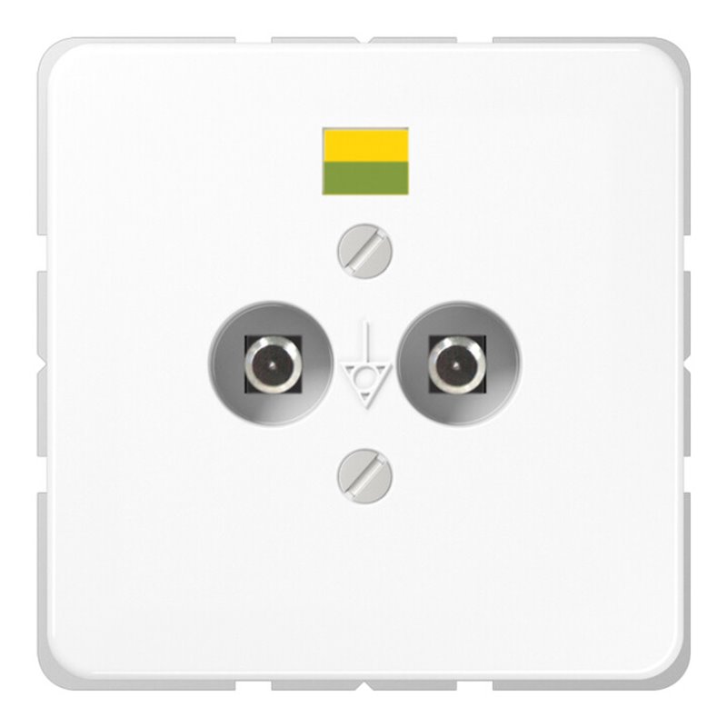 Jung Potential-Ausgl.Steckdose 2 Steckerstifte CD 565-2 WW