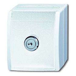 Busch-Jaeger SCHUKO-Steckdose al/ws mit Schloss 20 EWSL-54