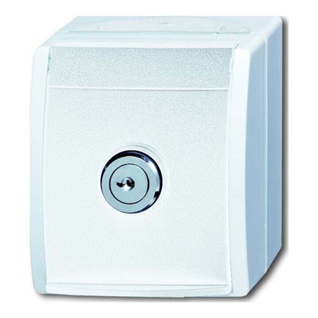 Busch-Jaeger SCHUKO-Steckdose al/ws mit Schloss 20 EWSL-54