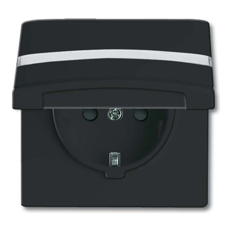 Busch-Jaeger Schuko-Steckdoseneinsatz IP44 anthrazit 20 EUGKBN-35-101