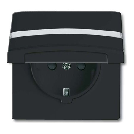 Busch-Jaeger Schuko-Steckdoseneinsatz IP44 anthrazit 20 EUGKBN-35-101