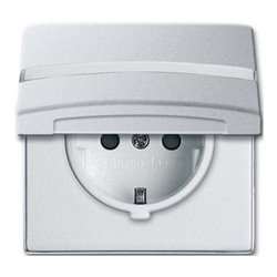 Busch-Jaeger Schuko-Steckdoseneinsatz IP44 alusilber 20 EUGKBN-33-101