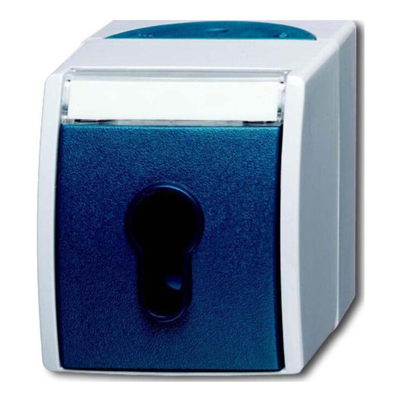 Busch-Jaeger Schlüsselschalter AP 2733 SLW-53