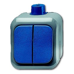 Busch-Jaeger Serienschalter AP 2601/5 WDI